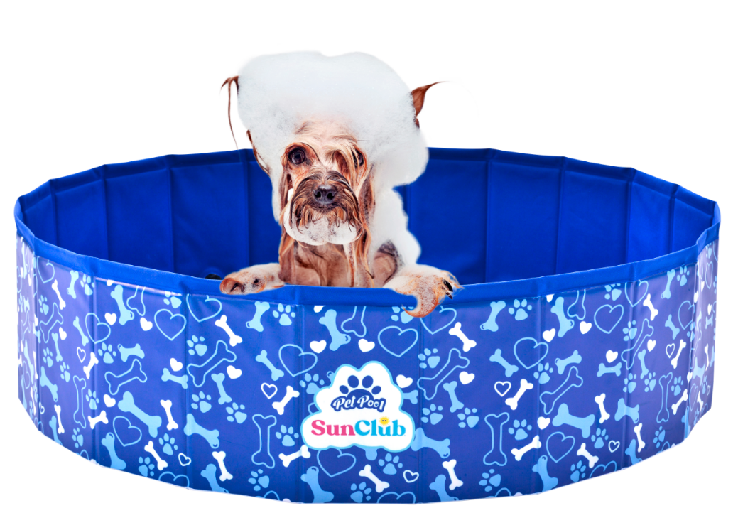 Pets Folding Pool