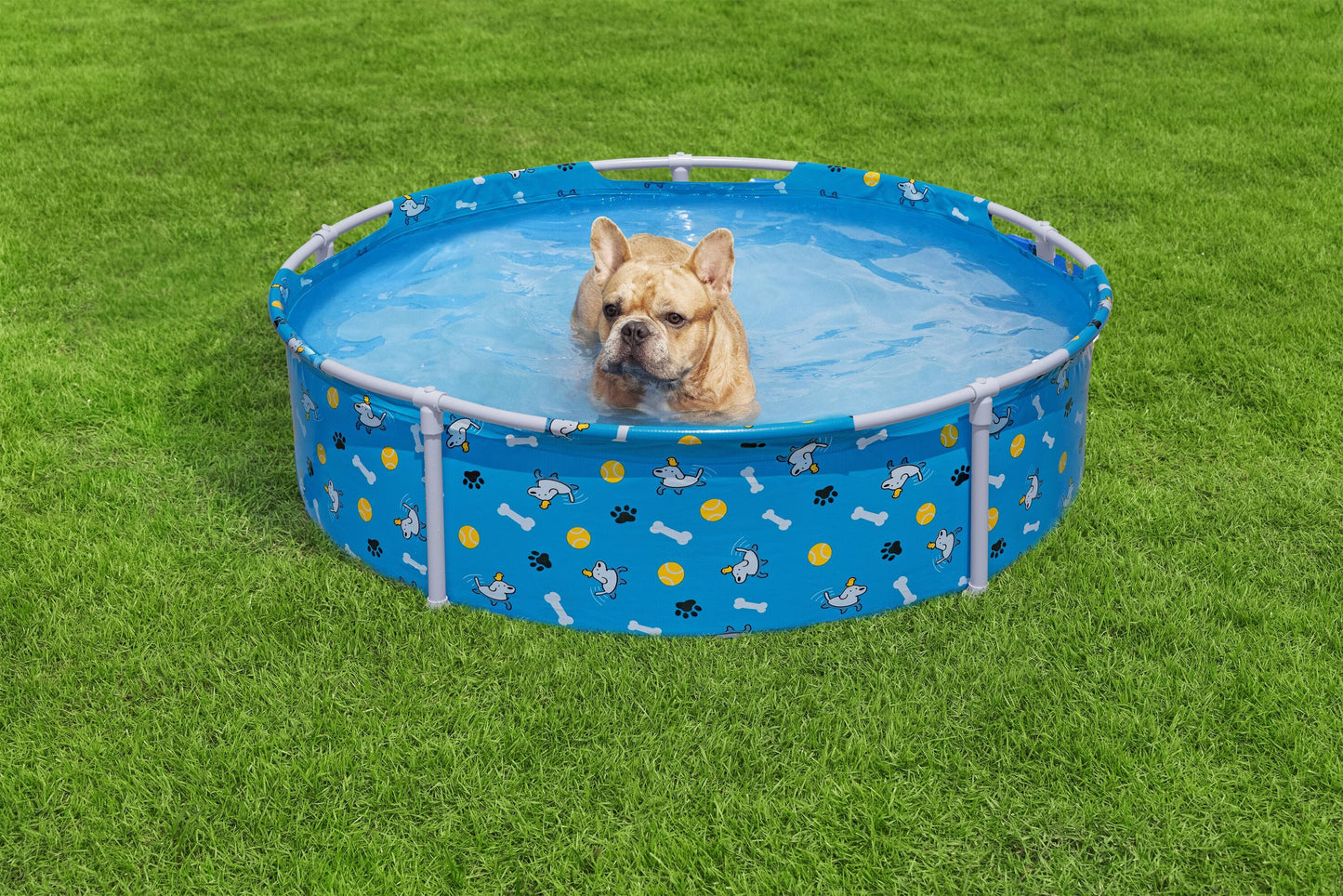 Fetchin Fun Pet Play Pool