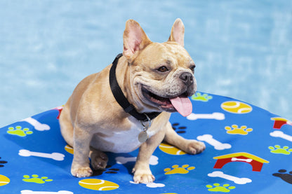 Fetchin Fun Pet Pool Float